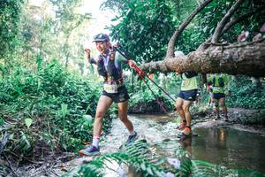 BIB: 
                            <button type="button" onclick="openModal(25441769)" class="btn btn-primary btn-sm float-right btn-popup" data-toggle="modal" data-target=".modal-high-quality">
                        <i class="fas fa-shopping-cart"></i> Add to Cart
                    </button>
                                            <button type="button" onclick="isThisMe(25441769, true)" class="btn btn-success btn-sm float-right btn-popup btn-isme hidden" data-toggle="tooltip" data-placement="bottom" title="นี่คือรูปของคุณใช่ไหม คลิกที่นี่เพื่อเอาเข้าอัลบั้ม">
                        <i class="fas fa-plus"></i> Add to album
                    </button>
                    <button type="button" onclick="isThisMe(25441769, false)" class="btn btn-warning btn-sm float-right btn-popup btn-isnotme hidden">
                        <i class="fas fa-ban"></i> Remove from album
                    </button>